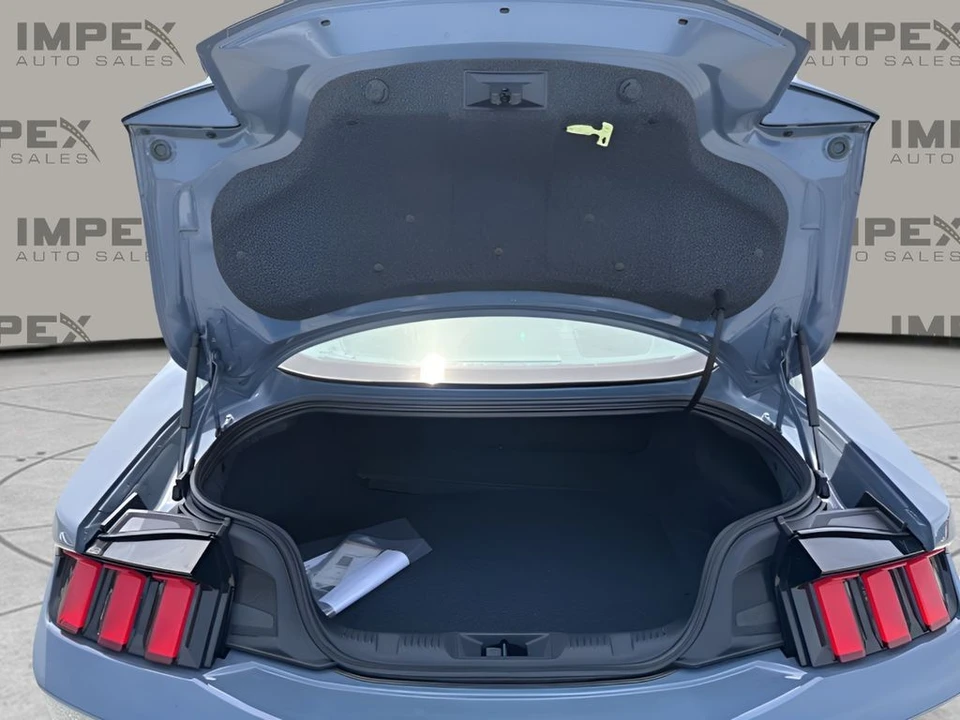 2024 Ford S650 Mustang - Image 25 of 31