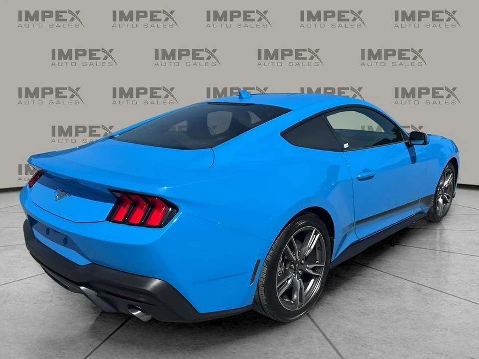 2024 Ford S650 Mustang - Image 5 of 30