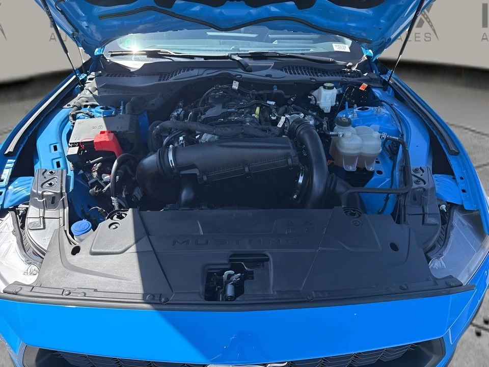 2024 Ford S650 Mustang - Image 26 of 30
