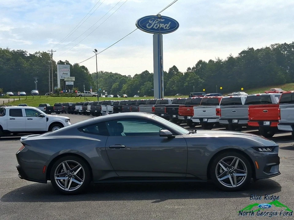 2024 Ford S650 Mustang - Image 18 of 21