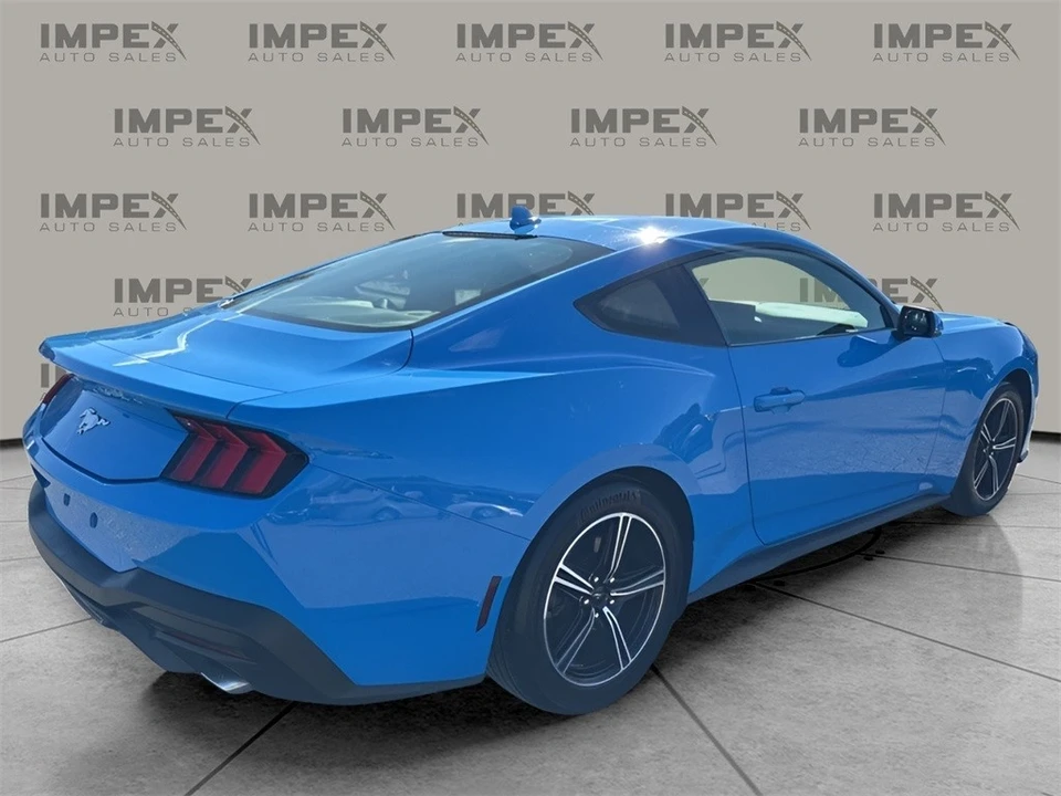 2024 Ford S650 Mustang - Image 5 of 12