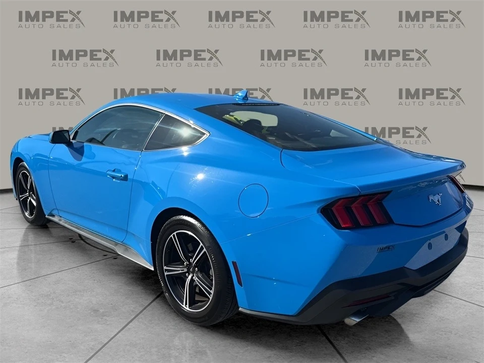 2024 Ford S650 Mustang - Image 3 of 12