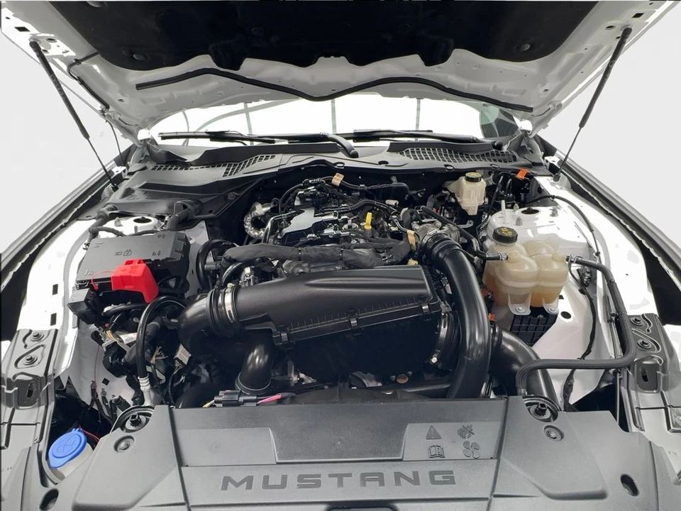 2024 Ford S650 Mustang - Image 11 of 21