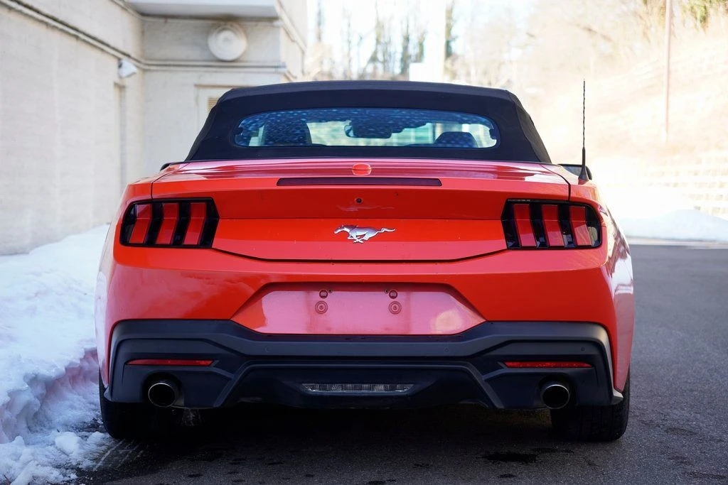 2024 Ford S650 Mustang - Image 10 of 12