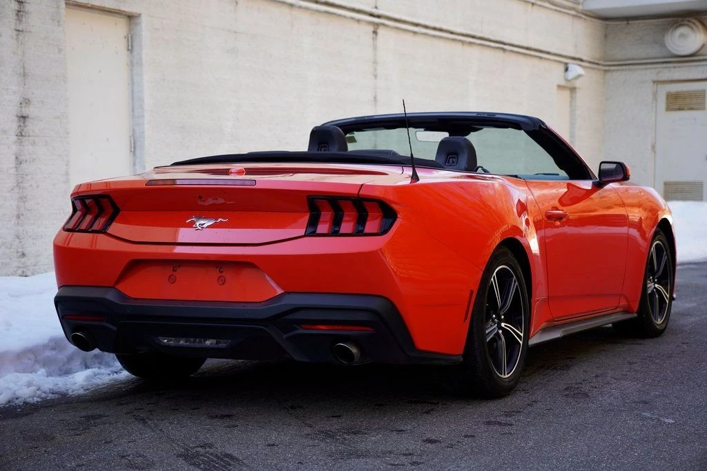 2024 Ford S650 Mustang - Image 11 of 12