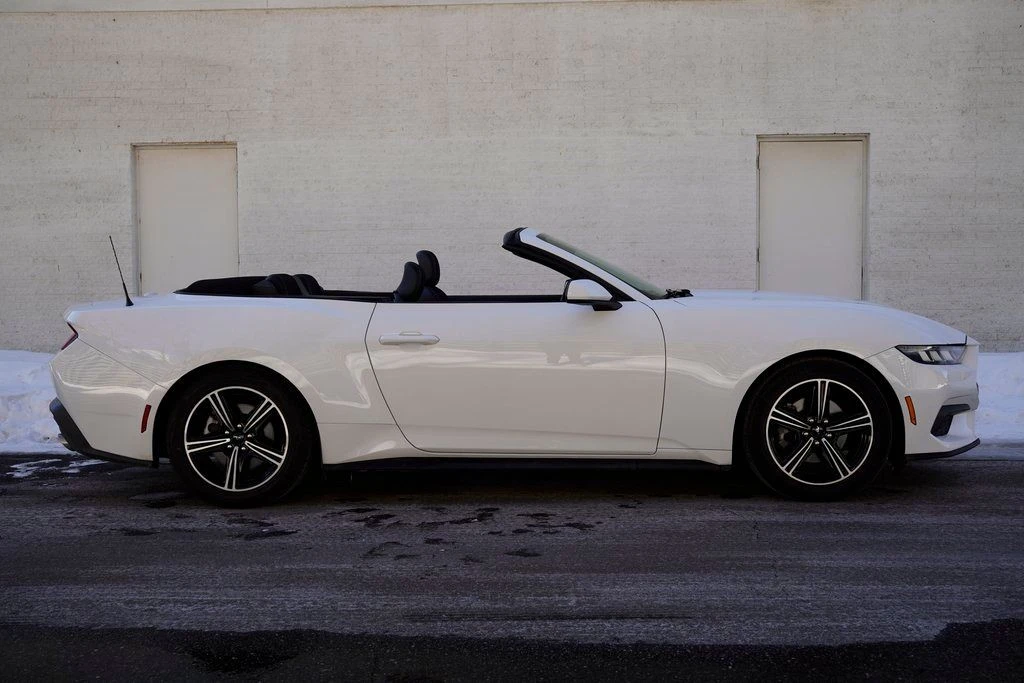 2024 Ford S650 Mustang - Image 12 of 12