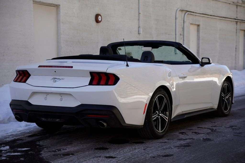 2024 Ford S650 Mustang - Image 11 of 12