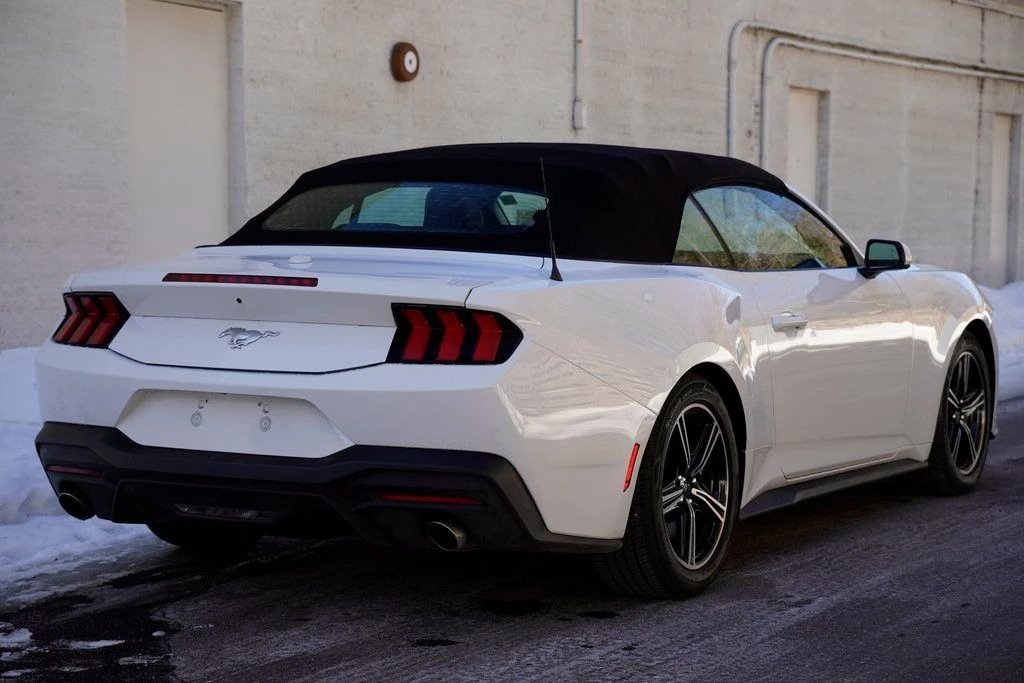 2024 Ford S650 Mustang - Image 10 of 12