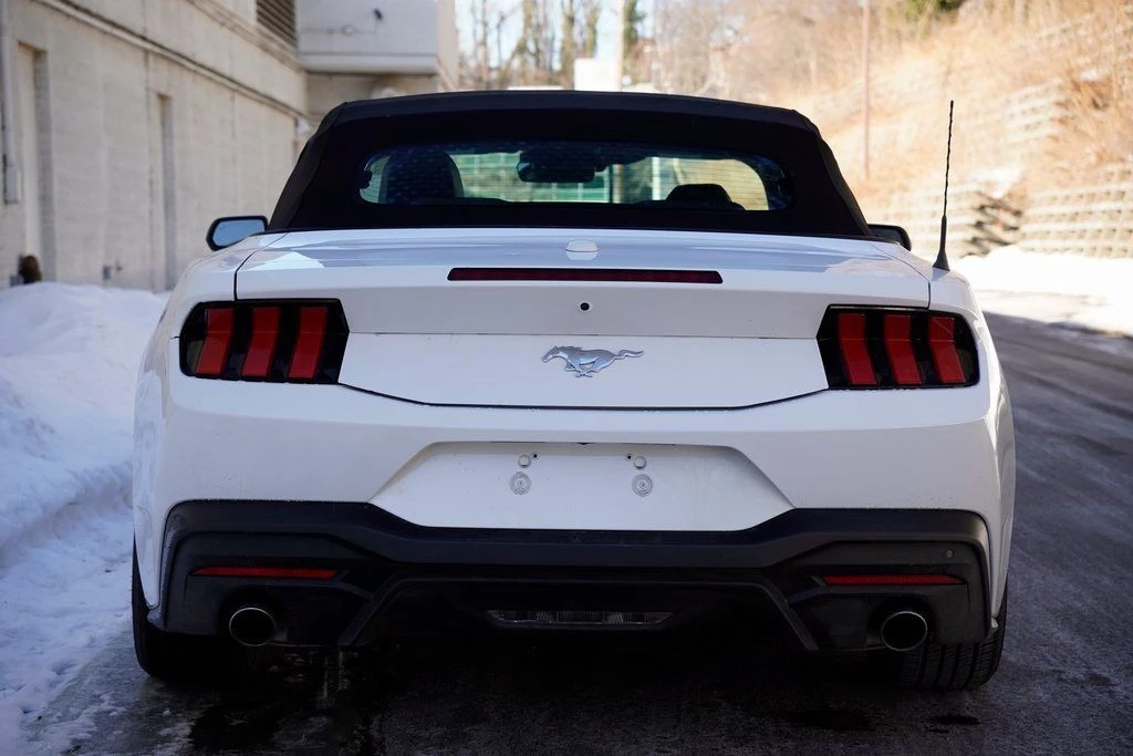 2024 Ford S650 Mustang - Image 9 of 12