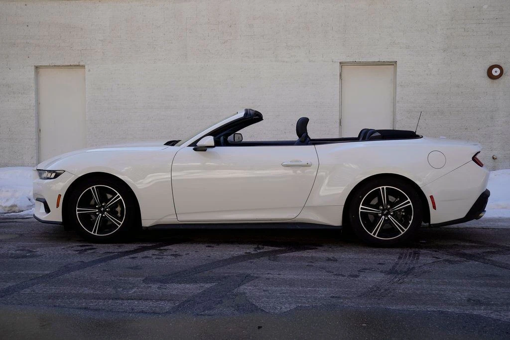 2024 Ford S650 Mustang - Image 3 of 12