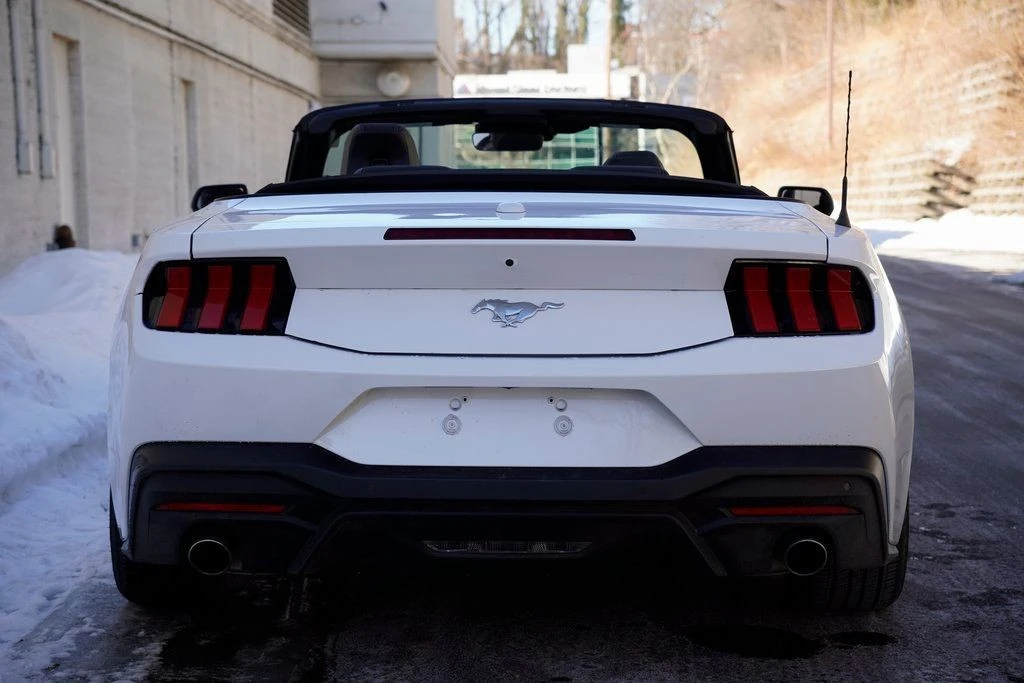 2024 Ford S650 Mustang - Image 8 of 12