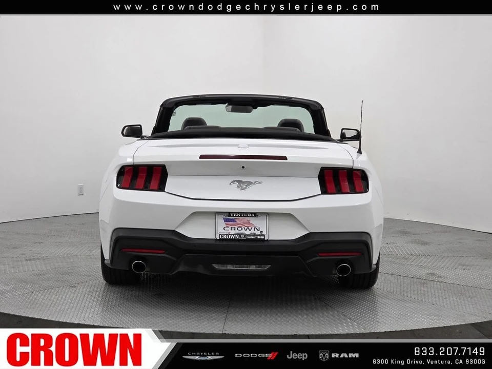 2024 Ford S650 Mustang - Image 6 of 12
