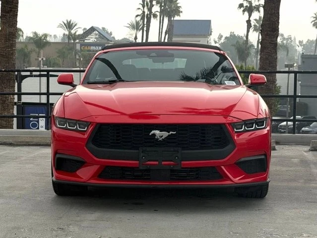 2024 Ford S650 Mustang - Image 2 of 12