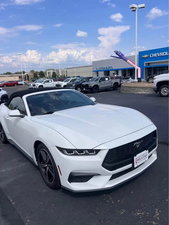 2024 Ford S650 Mustang - Image 3 of 4