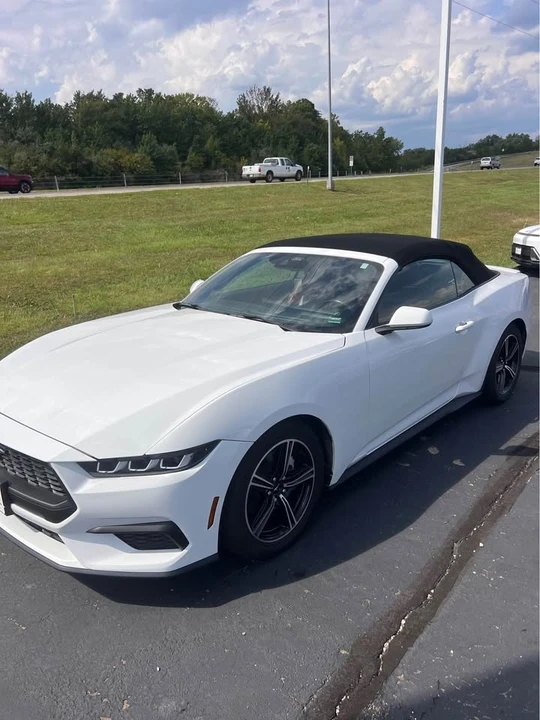 2024 Ford S650 Mustang - Image 2 of 4