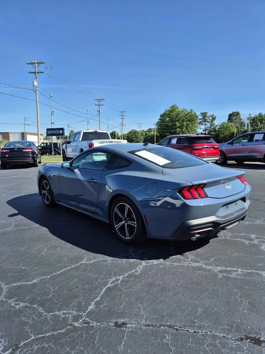 2024 Ford S650 Mustang - Image 4 of 11