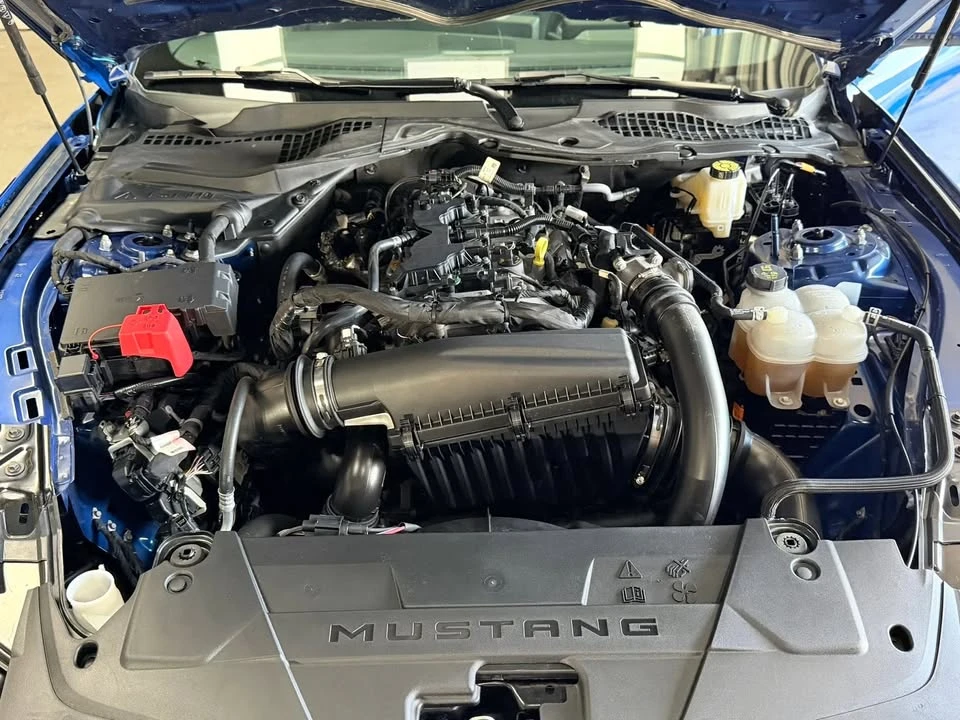2024 Ford S650 Mustang - Image 20 of 20