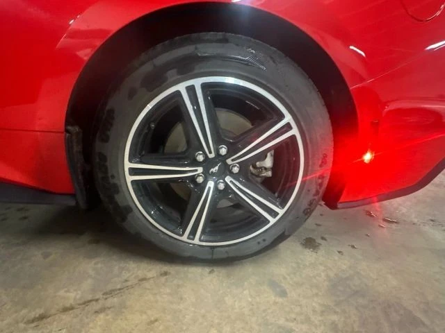 2024 Ford S650 Mustang - Image 23 of 24