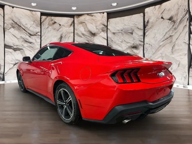2024 Ford S650 Mustang - Image 5 of 24