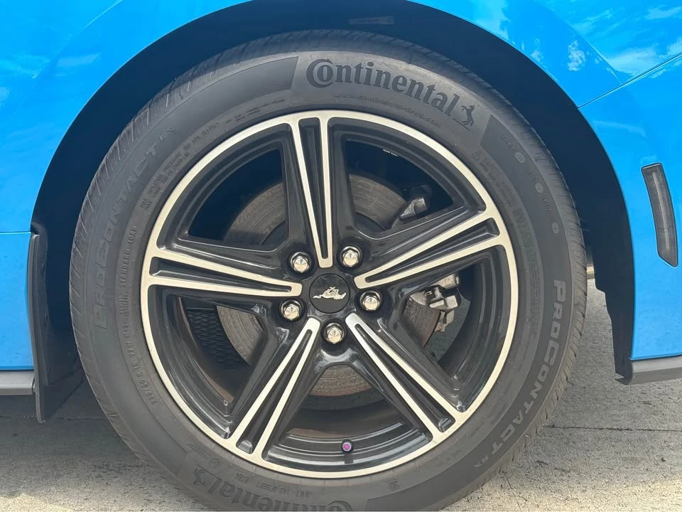 2024 Ford S650 Mustang - Image 14 of 20