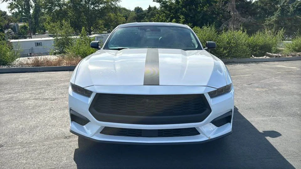2024 Ford S650 Mustang - Image 2 of 10