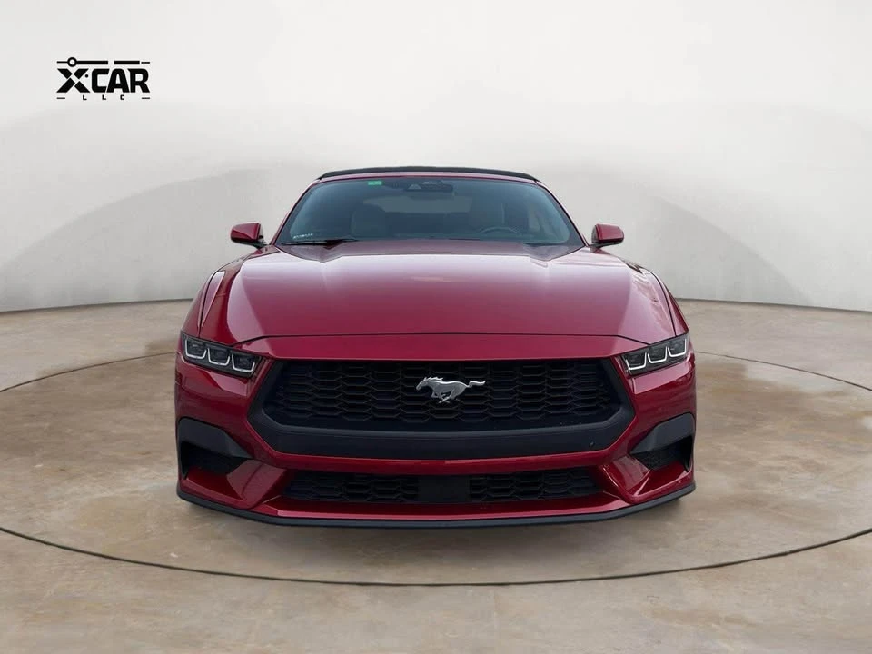 2024 Ford S650 Mustang - Image 8 of 15