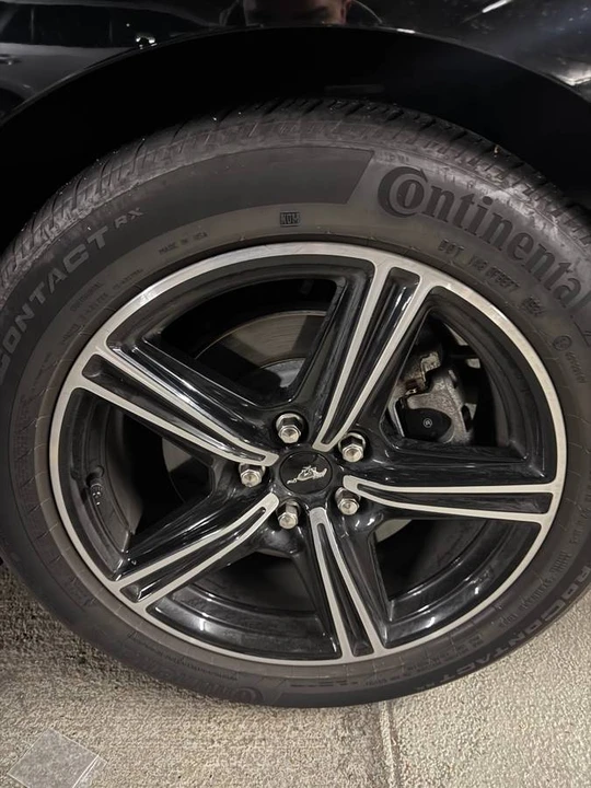 2024 Ford S650 Mustang - Image 2 of 8