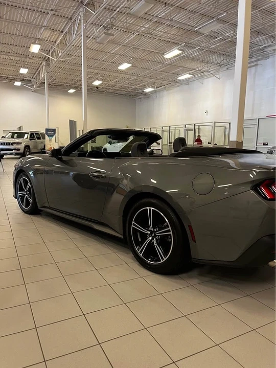 2024 Ford S650 Mustang - Image 10 of 10