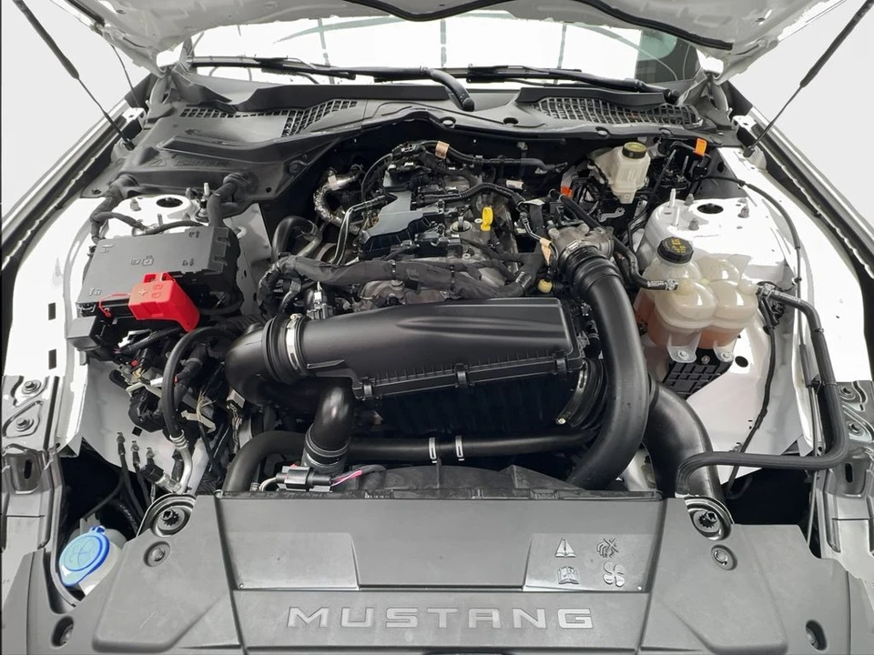 2024 Ford S650 Mustang - Image 17 of 31