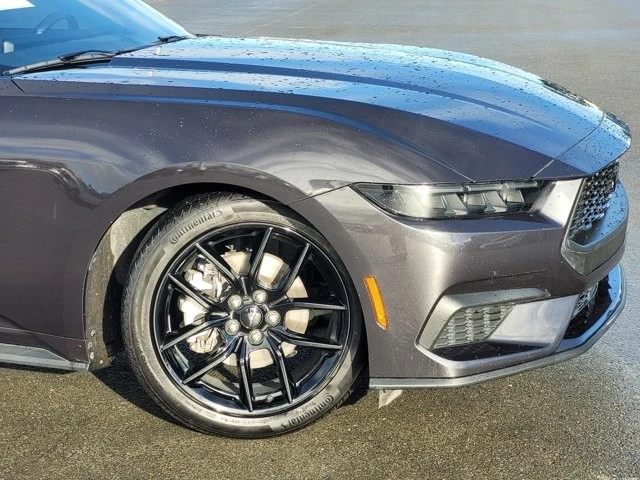 2024 Ford S650 Mustang - Image 3 of 12