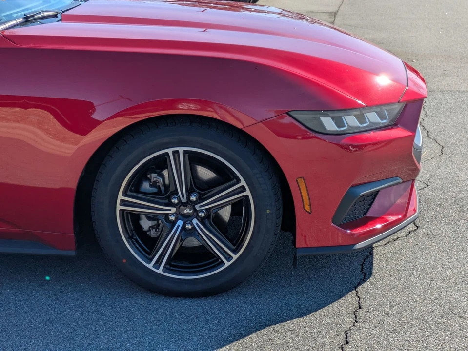 2024 Ford S650 Mustang - Image 11 of 21