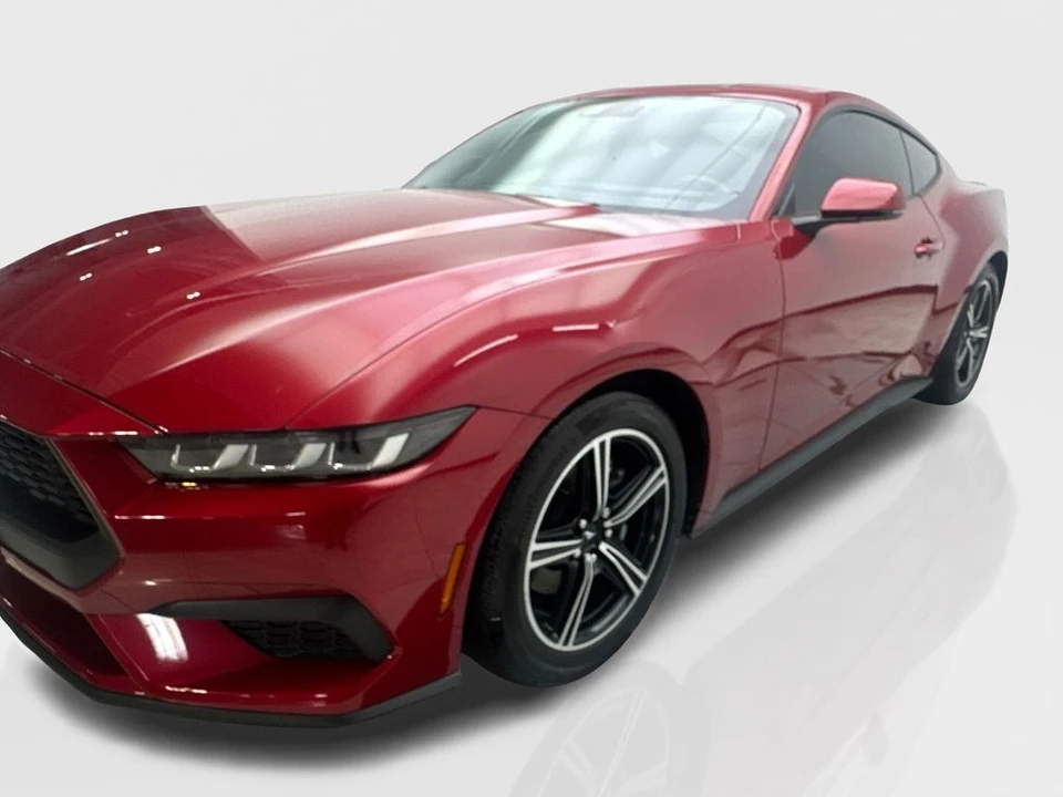 2024 Ford S650 Mustang - Image 11 of 21