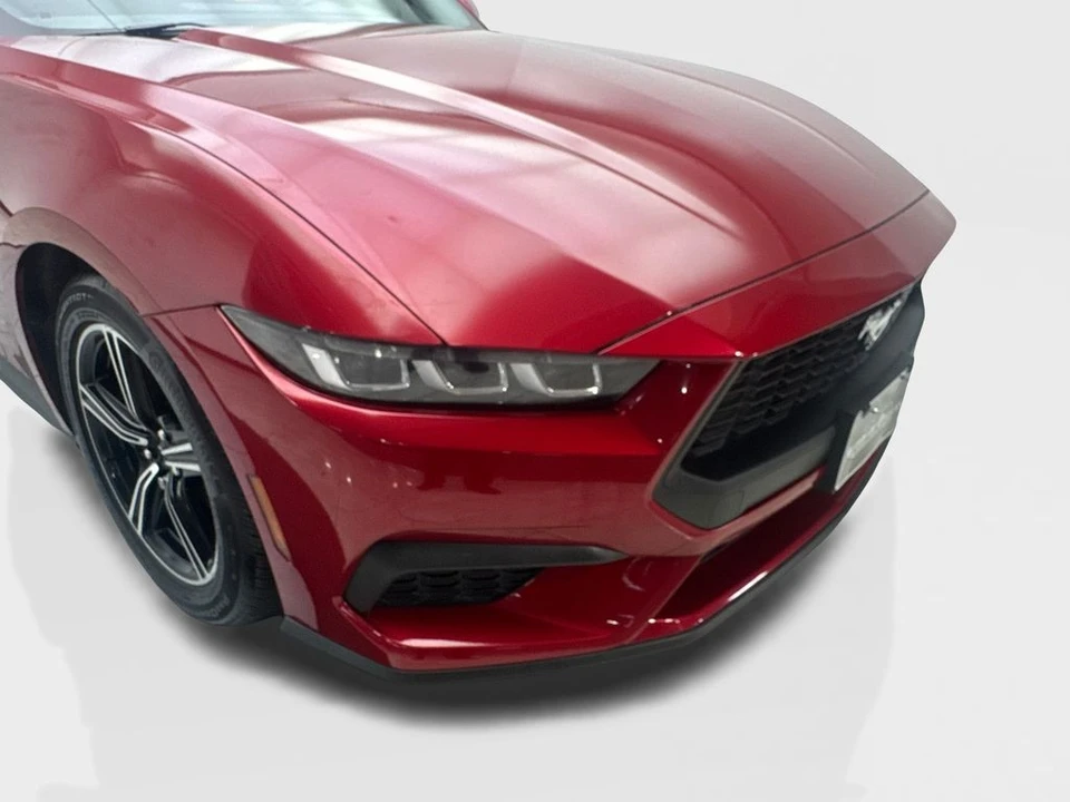 2024 Ford S650 Mustang - Image 17 of 31