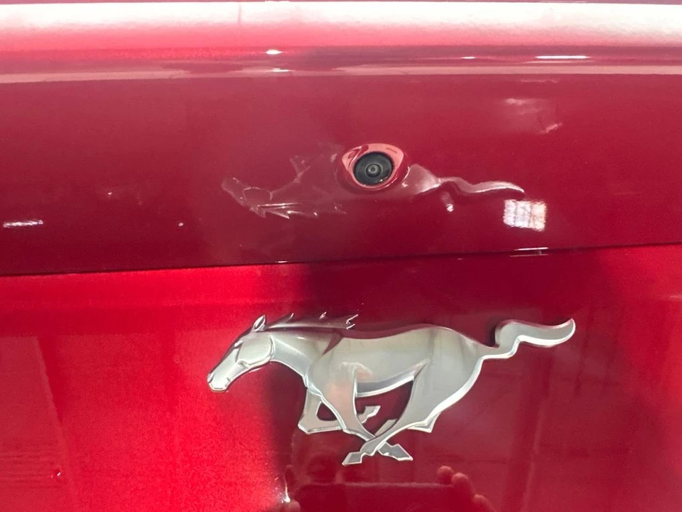 2024 Ford S650 Mustang - Image 23 of 31