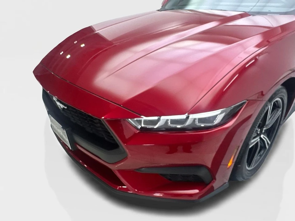 2024 Ford S650 Mustang - Image 16 of 21