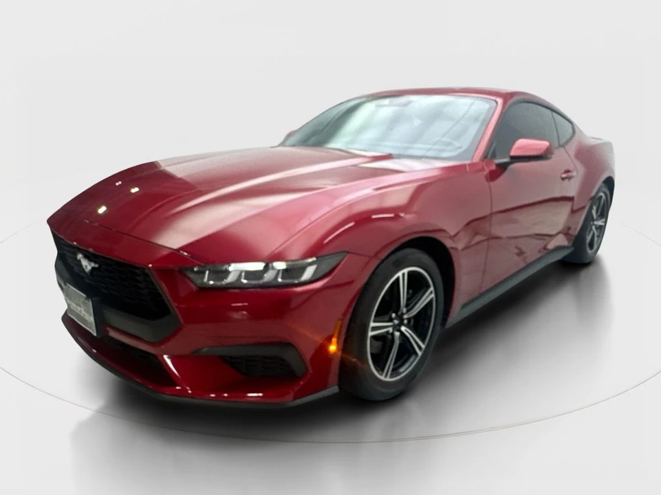 2024 Ford S650 Mustang - Image 2 of 21