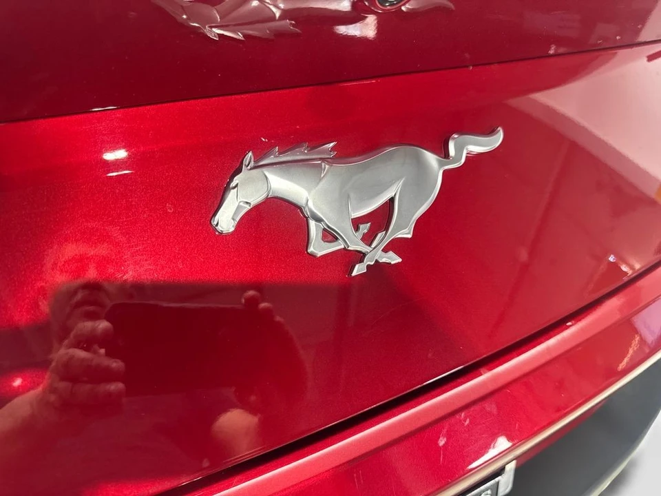 2024 Ford S650 Mustang - Image 21 of 21