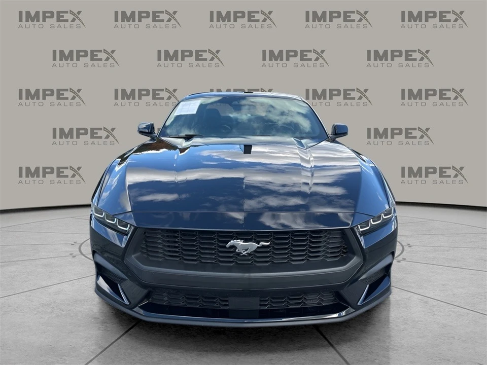 2024 Ford S650 Mustang - Image 8 of 12