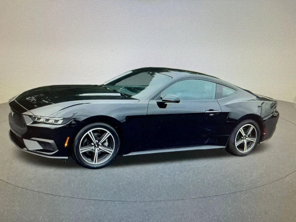 2024 Ford S650 Mustang - Image 10 of 10