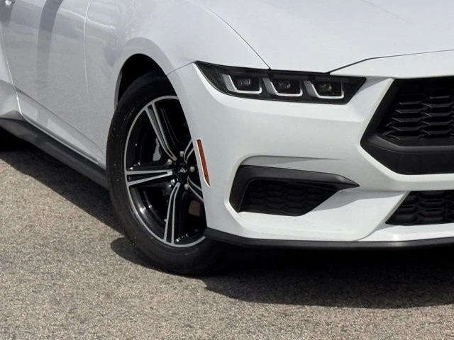 2024 Ford S650 Mustang - Image 4 of 30