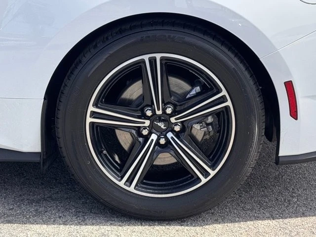 2024 Ford S650 Mustang - Image 14 of 21