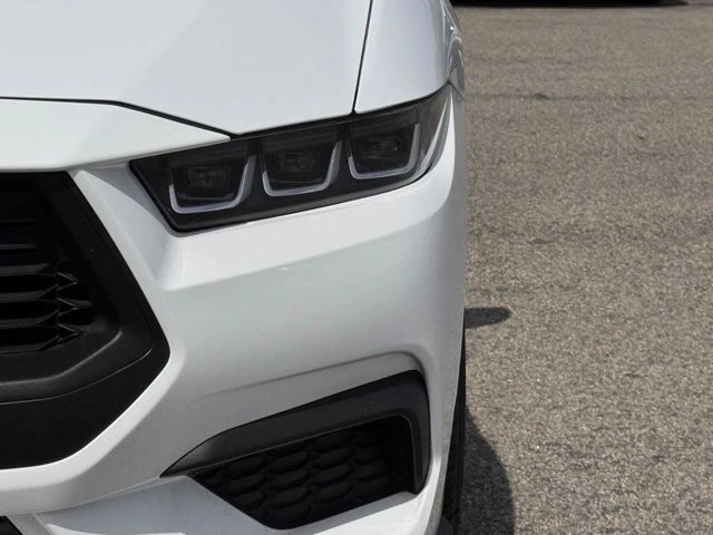 2024 Ford S650 Mustang - Image 8 of 21