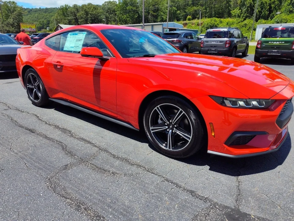 2024 Ford S650 Mustang - Image 6 of 21