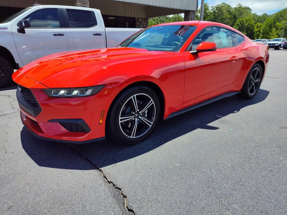2024 Ford S650 Mustang - Image 2 of 21