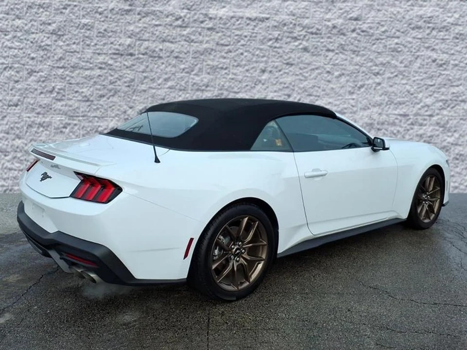2024 Ford S650 Mustang - Image 3 of 12