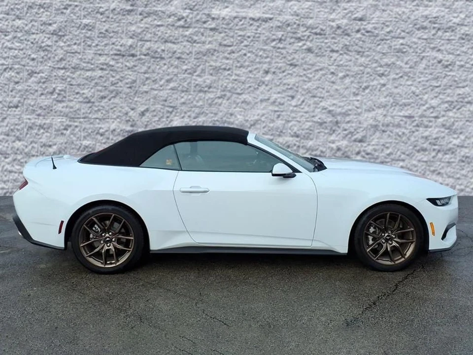 2024 Ford S650 Mustang - Image 2 of 12