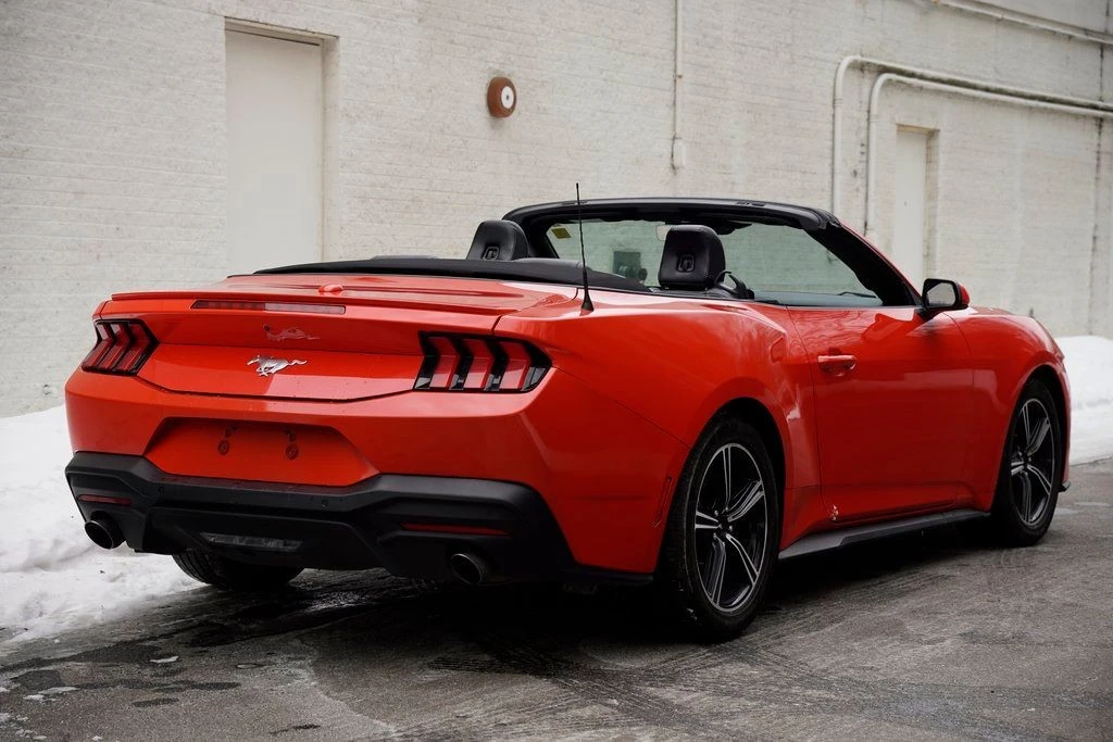 2024 Ford S650 Mustang - Image 11 of 12