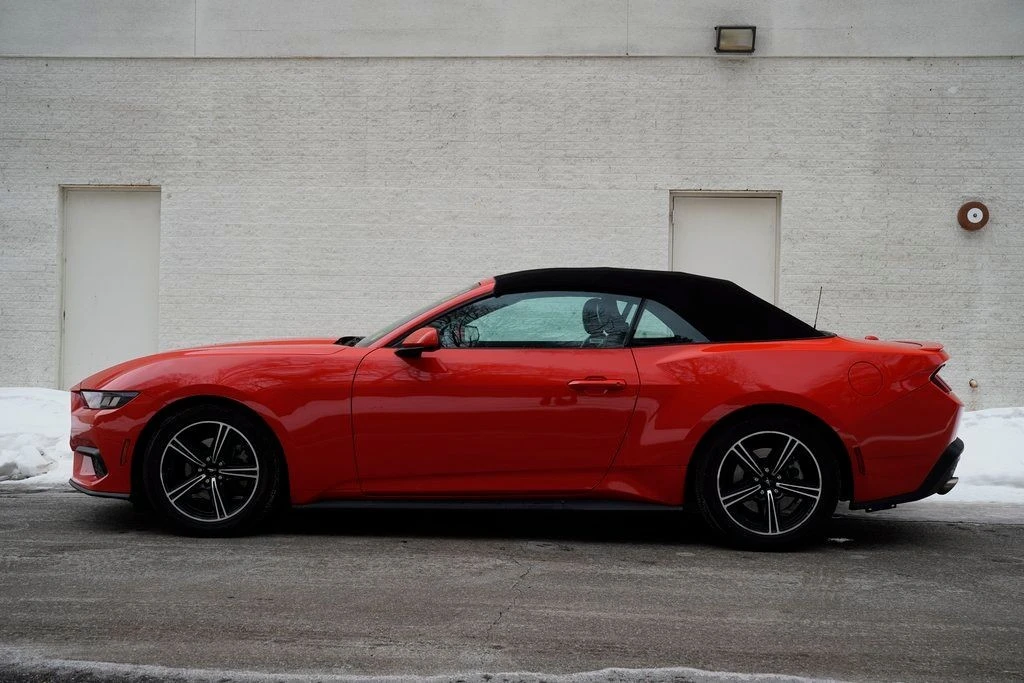 2024 Ford S650 Mustang - Image 4 of 12