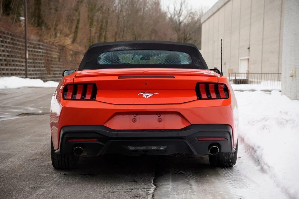 2024 Ford S650 Mustang - Image 9 of 12