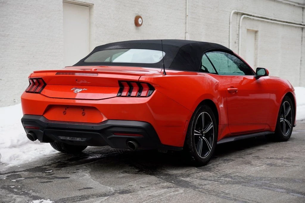 2024 Ford S650 Mustang - Image 10 of 12
